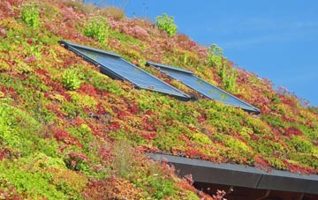 Totton living roof systems